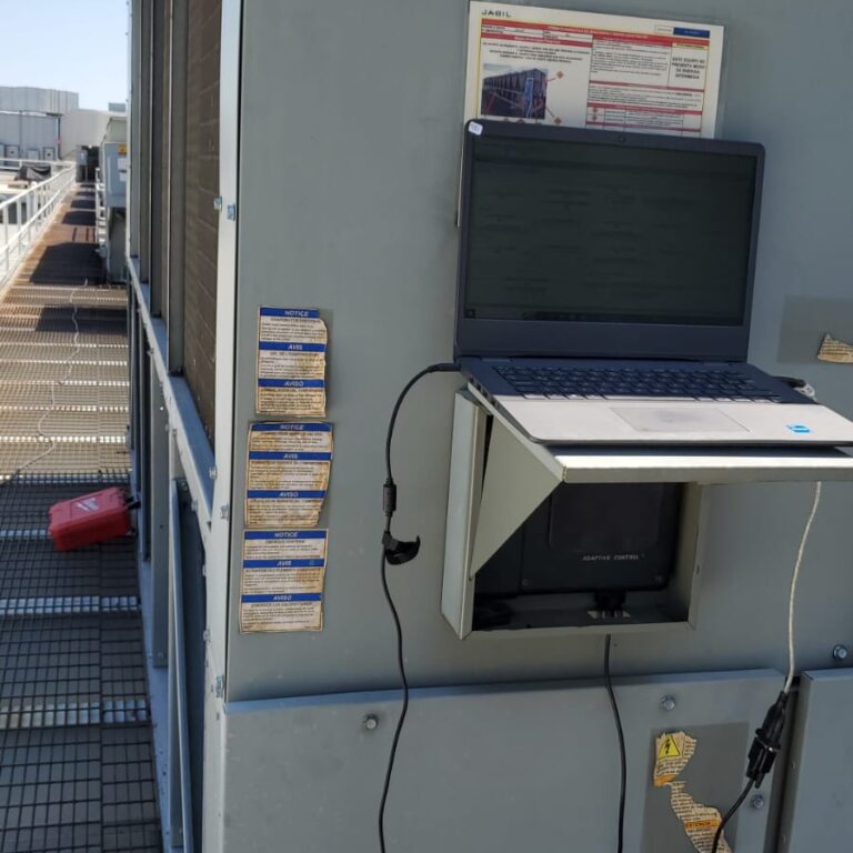 WhatsApp Image 2024-12-22 at 2.40.07 PM (1)